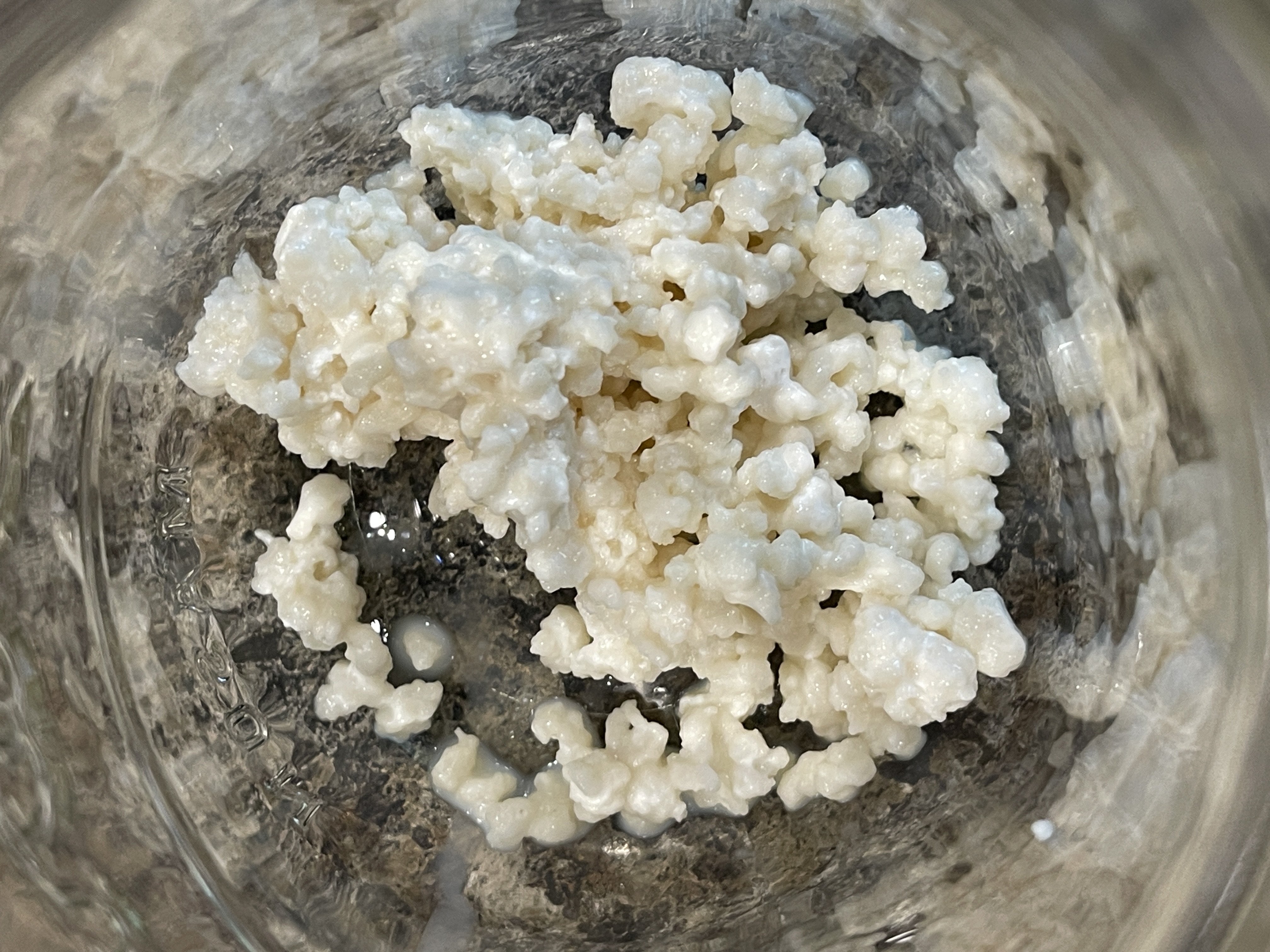 Milk Kefir